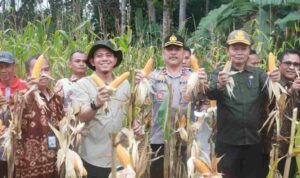 c1_20260108_19233865