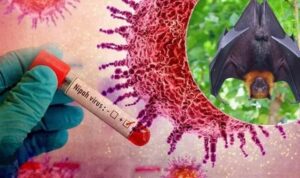 c1_20260207_13164465