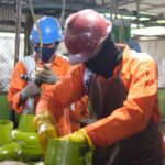 c1_20260223_15522954