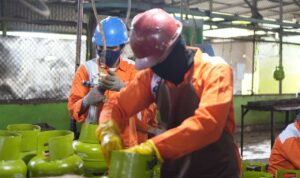 c1_20260223_15522954